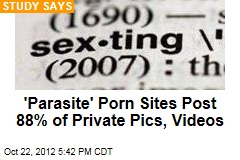 &#39;Parasite&#39; Porn Sites Post 88% of Private Pics, Videos