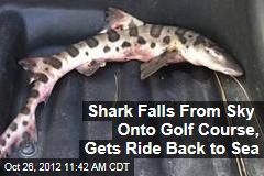 Shark Falls From Sky Onto Golf Course, Gets Ride Back to Sea