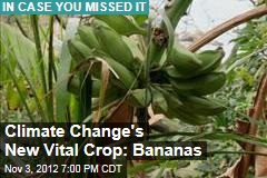 Climate Change to Make Bananas Vital Food Crop