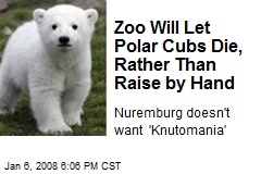 Zoo Will Let Polar Cubs Die, Rather Than Raise by Hand