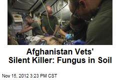 Iraqi Vets&#39; Silent Killer: Fungus in Soil