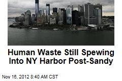 Human Waste Still Spewing Into NY Harbor Post-Sandy