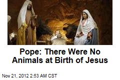 Pope: There Were No Animals at Birth of Jesus