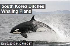 South Korea Ditches Whaling Plans