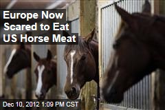 Europe Now Scared to Eat US Horse Meat