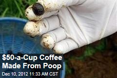 $50-a-Cup Coffee Made From Poop