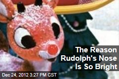 Study Reveals Why Rudolph&#39;s Nose Is So Bright