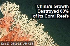China&#39;s Growth Destroyed 80% of Its Coral Reefs