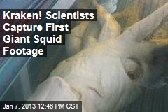 Kraken! Scientists Capture First Giant Squid Footage