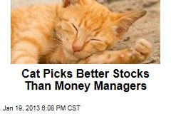 Cat Licks Pros in Stock-Picking Game