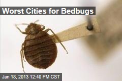 Worst Cities for Bedbugs