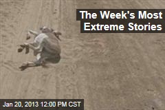 The Week&#39;s Most Extreme Stories
