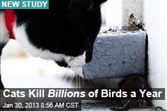 Cats Kill Billions of Birds a Year