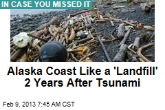 Alaska Coast Like a &#39;Landfill&#39; 2 Years After Tsunami