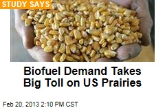 Biofuel Demand Takes Big Toll on US Prairies