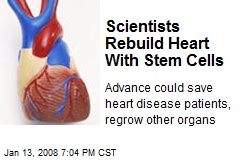 Scientists Rebuild Heart With Stem Cells