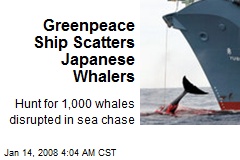 Greenpeace Ship Scatters Japanese Whalers