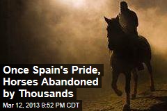 Once Spain&#39;s Pride, Horses Abandoned by Thousands