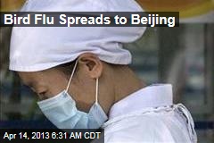 Bird Flu Spreads to Beijing