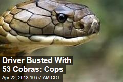 Vietnam Driver Busted With 53 Cobras: Cops