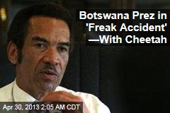 Cheetah Claws Botswana President&#39;s Face