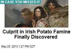 Culprit in Irish Potato Famine Finally Discovered
