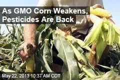 As GMO Corn Weakens, Pesticides Are Back
