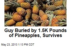 Guy Buried by 1.5K Pounds of Pineapples, Survives