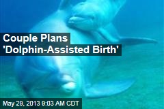 Couple&#39;s &#39;Dolphin- Assisted Birth&#39;: Terrible Idea?