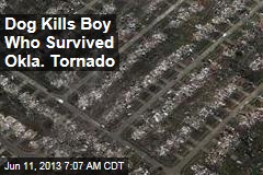 Dog Kills Boy Who Survived Tornado