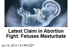 Latest Claim in Abortion Fight: Fetuses Masturbate