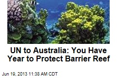 UN to Australia: You Have Year to Protect Barrier Reef