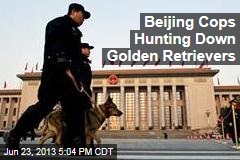 Beijing Cops Hunting Down Golden Retrievers
