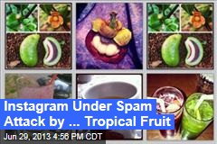 Instagram Under Spam Attack by ... Tropical Fruit