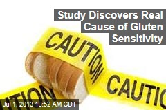 Study Discovers Real Cause of Gluten Sensitivity