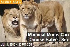 Mammal Moms Can Choose Baby&#39;s Sex