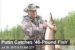 Putin Catches &#39;46-Pound Fish&#39;