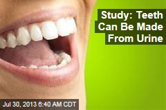 Study: Teeth Can Be Made From Urine