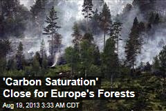 &#39;Carbon Saturation&#39; Close for Europe&#39;s Forests