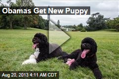 Obamas Get New Puppy