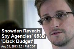 Snowden Reveals &#39;Black Budget&#39; of Spy Agencies