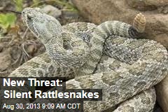 New Threat: Silent Rattlesnakes