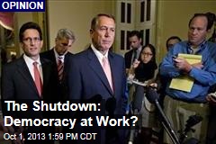 The Shutdown: Democracy at Work?