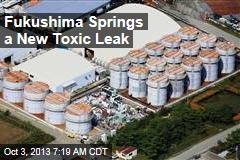 Fukushima Springs a New Toxic Leak