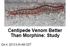 Centipede Venom Better Than Morphine: Study
