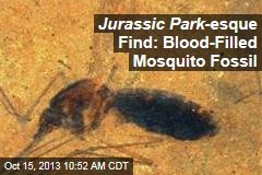 Jurassic Park -Esque Find: Blood-Filled Mosquito Fossil