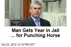 Soccer Fan Gets Year in Jail ... for Punching Horse