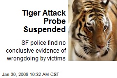 Tiger Attack Probe Suspended