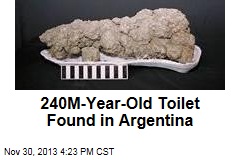 World&#39;s Oldest Outhouse Dug Up in Argentina