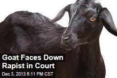 Goat Faces Down Rapist in Court